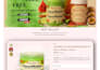 create professional custom shopify stores and webiste